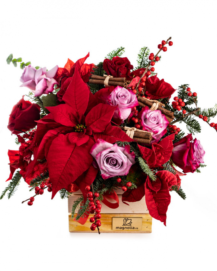 Christmas surprise – imaginea 1