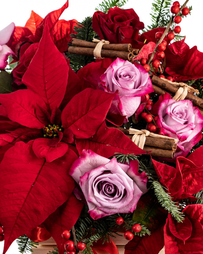 Christmas surprise – imaginea 2