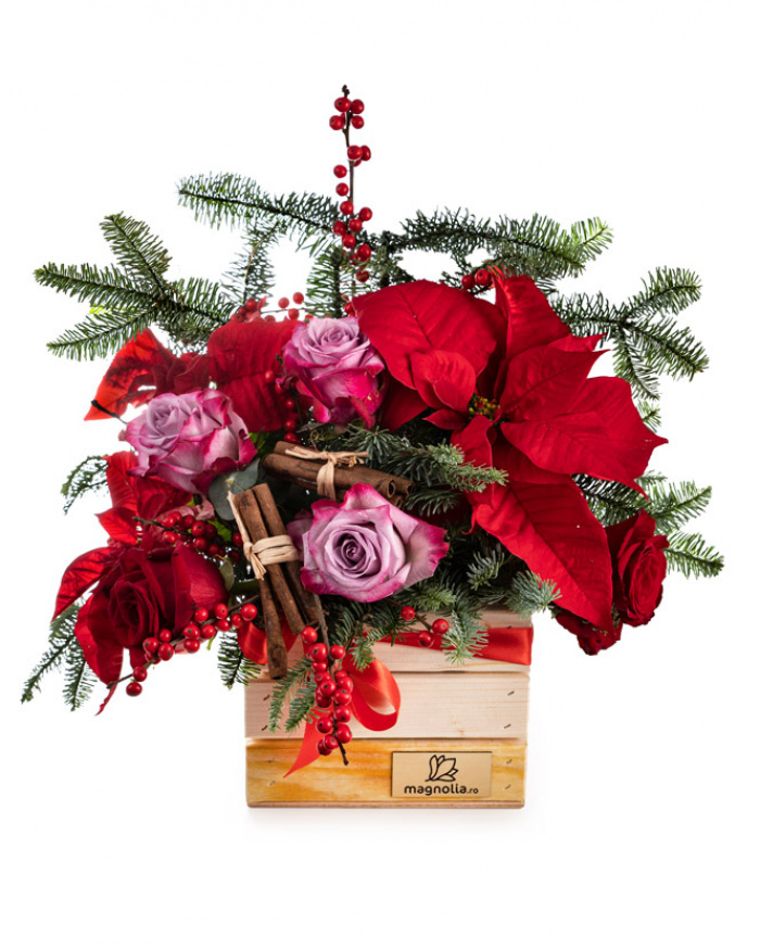 Christmas surprise – the image 1
