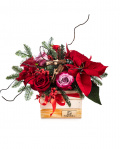 Christmas surprise – the image 1