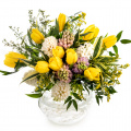 Bright Spring