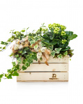 Easter arrangement with plants and accessories – imaginea 1