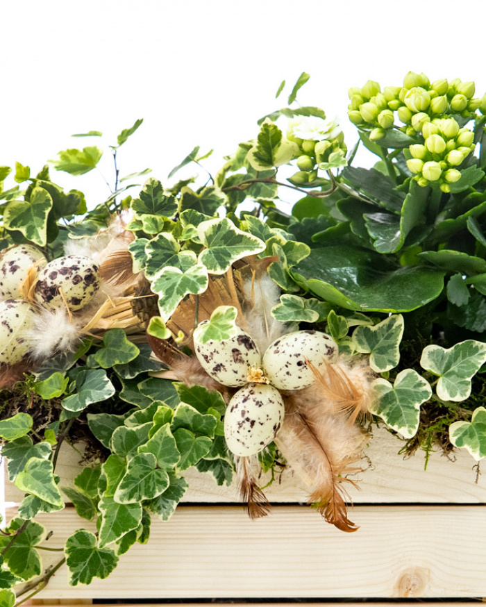 Easter arrangement with plants and accessories – imaginea 2