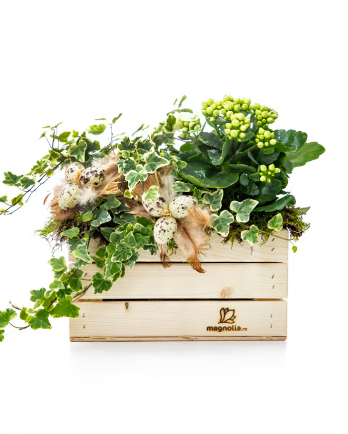 Aranjament cu plante și accesorii de Paște