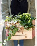 Aranjament cu plante și accesorii de Paște