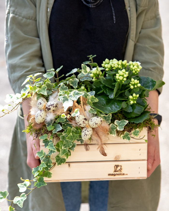 Aranjament cu plante și accesorii de Paște