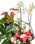 Easter arrangement with bunnies – imaginea 2