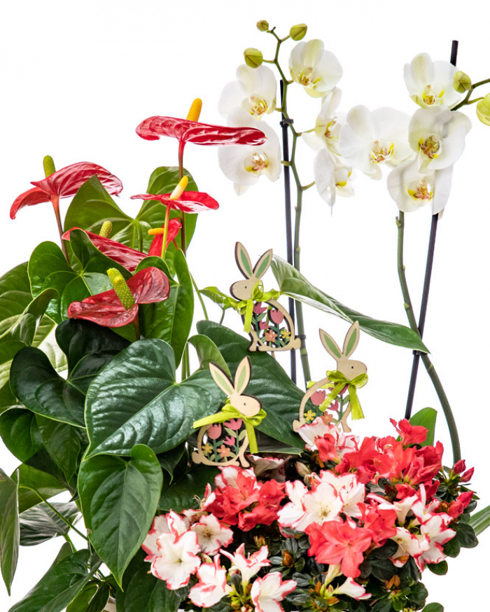 Easter arrangement with bunnies – imaginea 2