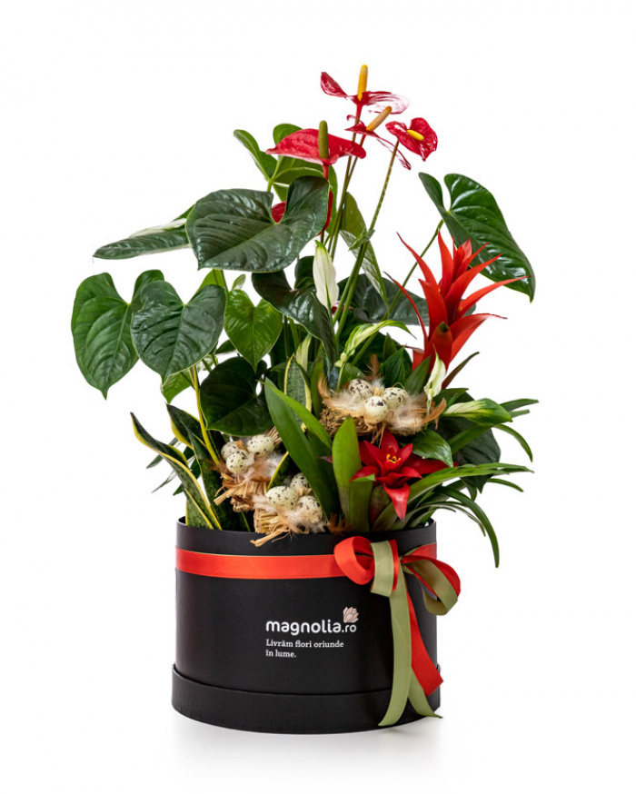 Aranjament de Paște cu plante – imaginea 1
