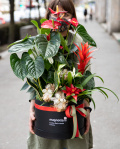Aranjament de Paște cu plante – imaginea 3