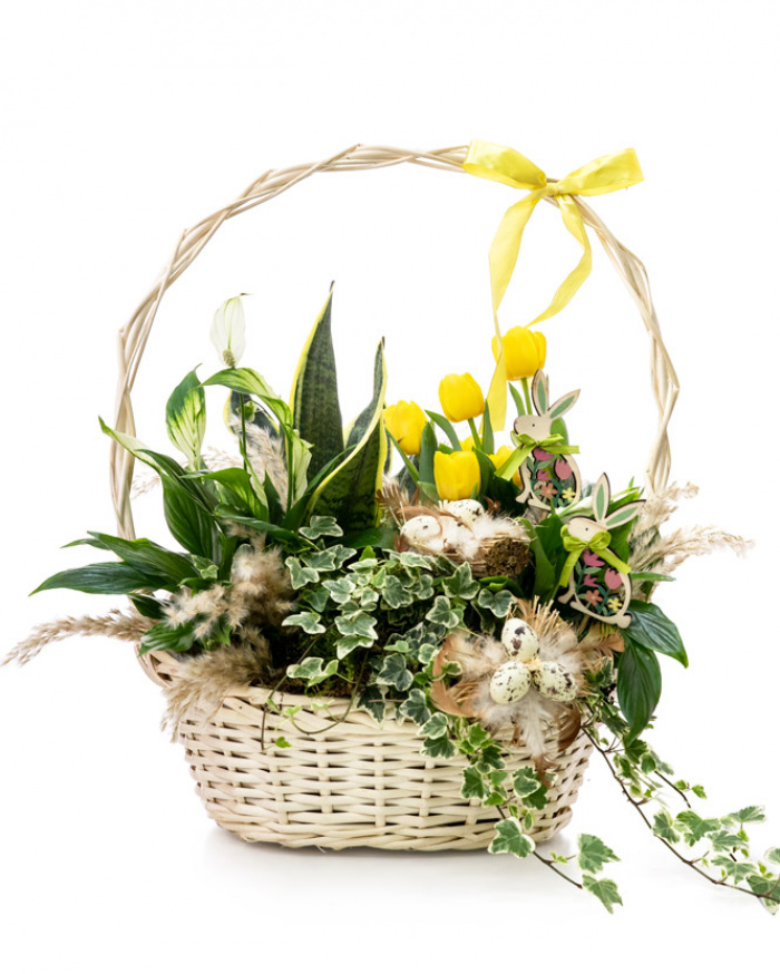 Easter surprise – imaginea 1