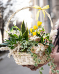 Easter surprise – imaginea 3