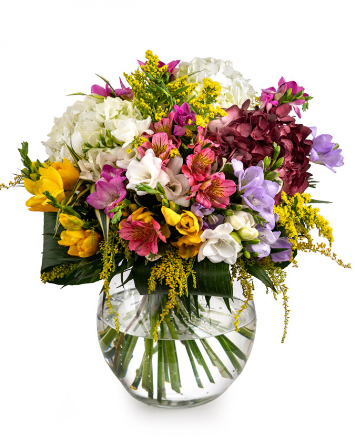 Colorful symphony – imaginea 1