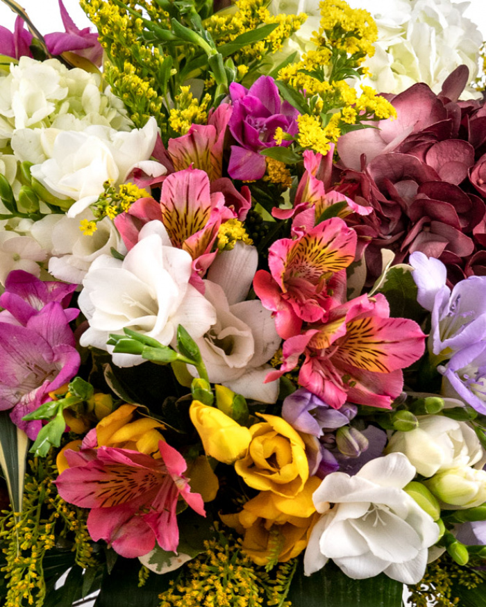 Colorful symphony – imaginea 2