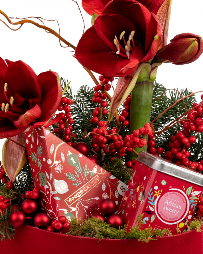 Season of Joy – imaginea 2