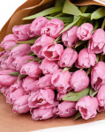 Buchet cu lalele roz – imaginea 2