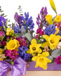 Colorful Garden – imaginea 2