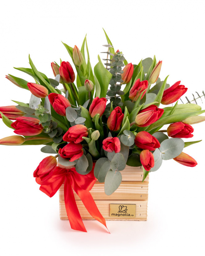 Spring romance arrangement