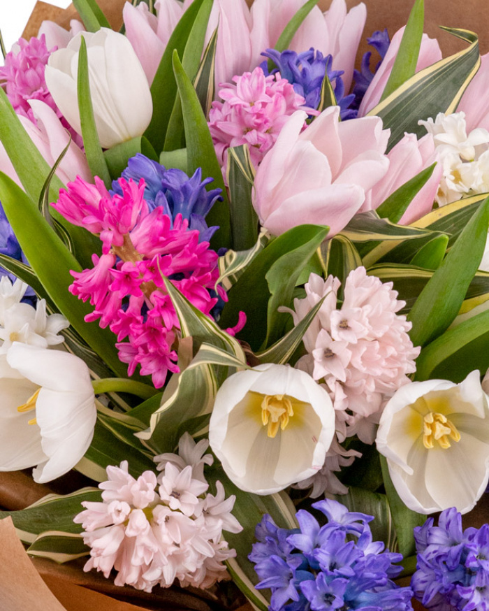 Lovely Spring