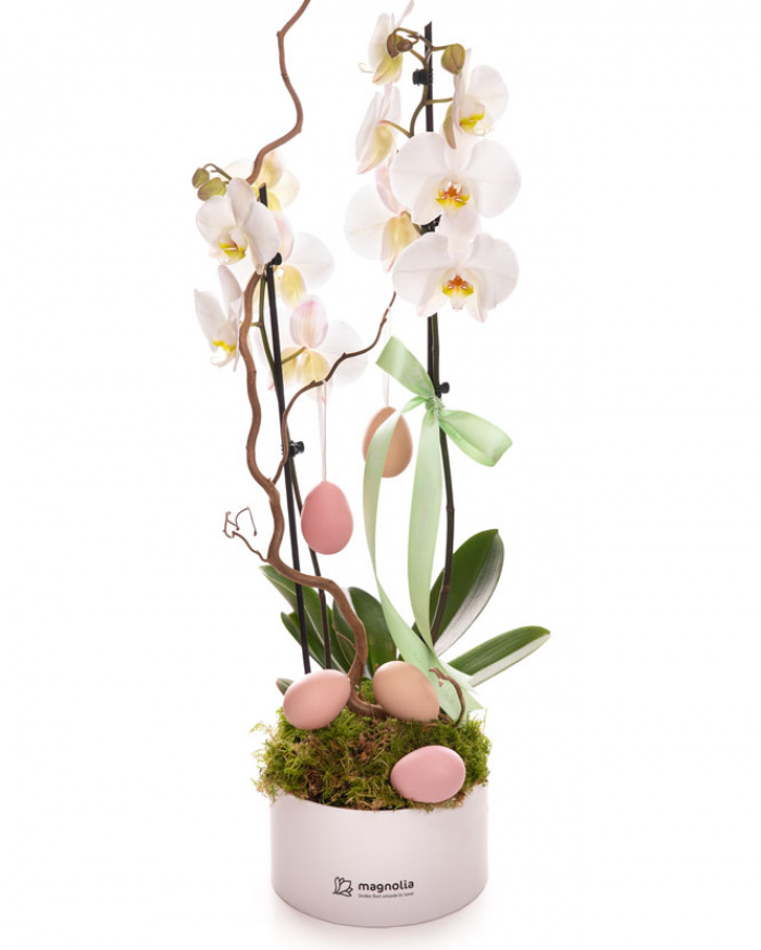 Orchid Easter arrangement – imaginea 1