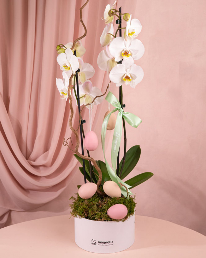 Orchid Easter arrangement – imaginea 3