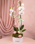 Orchid Easter arrangement