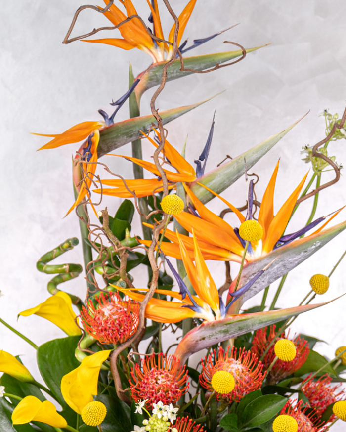 “Tropical Paradise” Luxury Arrangement – imaginea 3