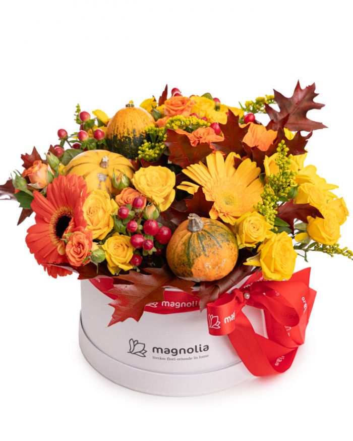 Roses and ornamental pumpkins box – imaginea 1