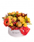Roses and ornamental pumpkins box – the image 1