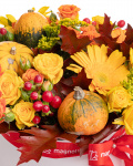 Roses and ornamental pumpkins box – the image 2