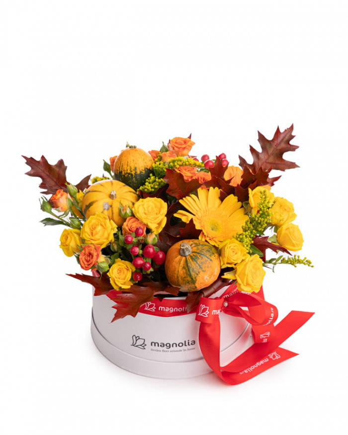 Roses and ornamental pumpkins box – the image 1