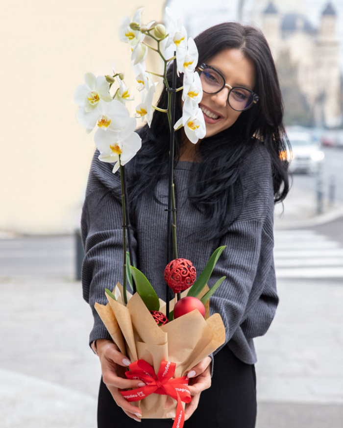 Orchid with Christmas ornaments