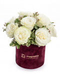 White roses arrangement in velvet box – imaginea 1