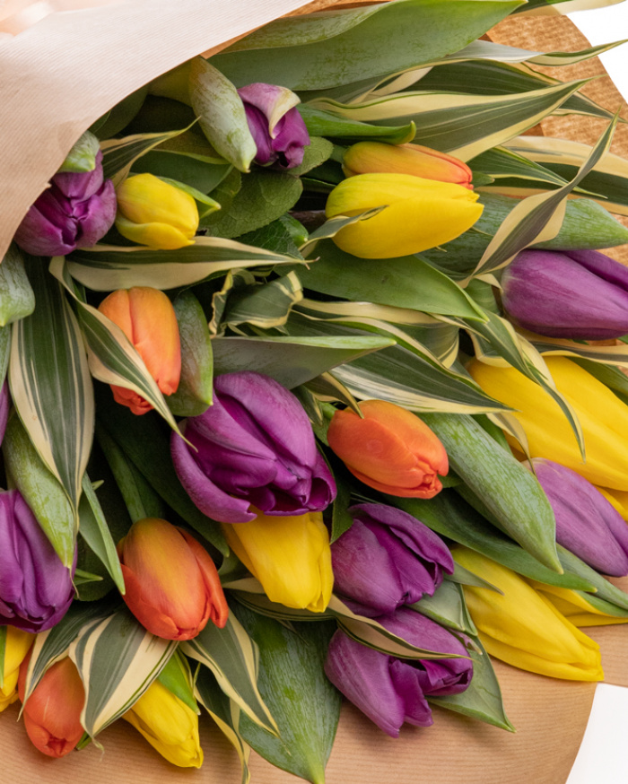 "Gift of spring" tulip bouquet