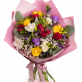 Buchet frezii colorate "Spring Elixir"