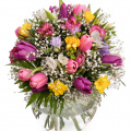 Buchet lalele și frezii "Spring Fantasy"