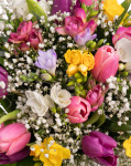 "Spring Fantasy" tulip and freesia bouquet – imaginea 2