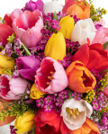 Buchet lalele "Simfonia Primăverii" – imaginea 2