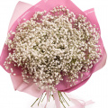 Buchet Gypsophila