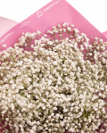 Gypsophila Bouquet – imaginea 2