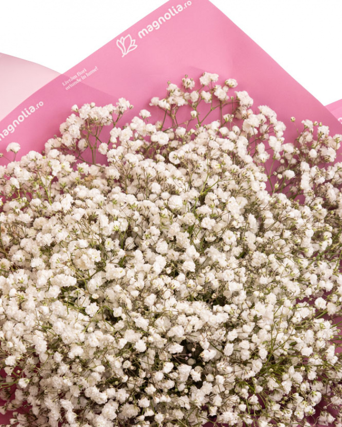 Gypsophila Bouquet – imaginea 2