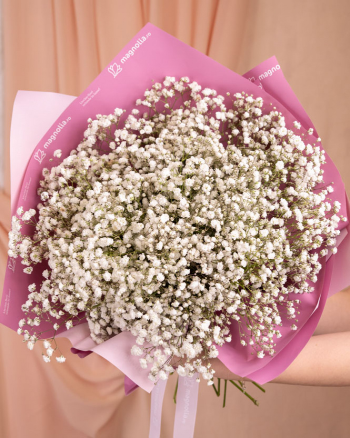Gypsophila Bouquet – the image 3