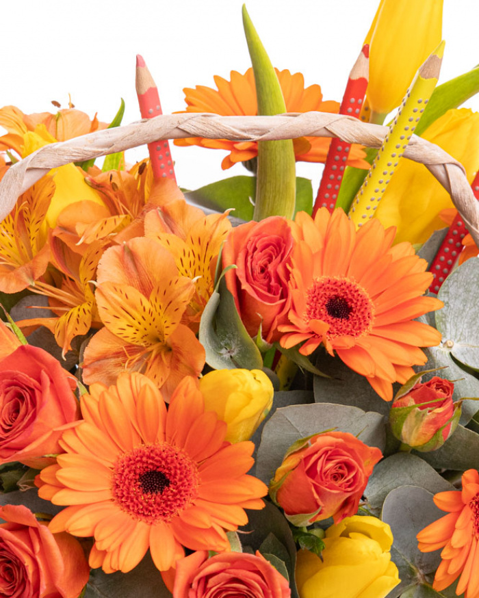 "Back to School" rose and tulip basket with colorful pencils