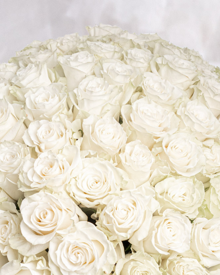 101 White Roses and Pralines in a Heart-Shaped Box – imaginea 3