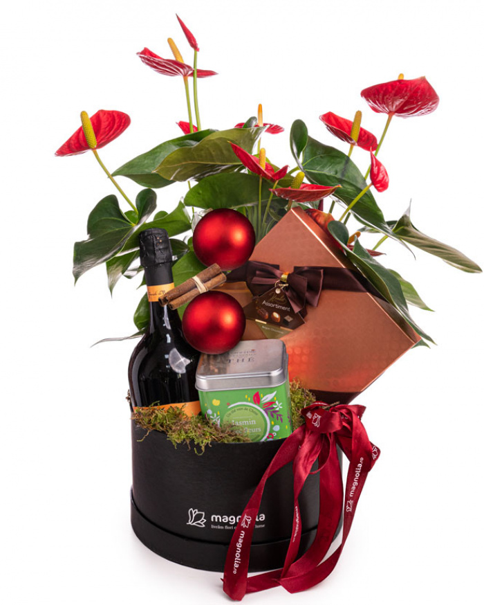 Cadou Crăciun cu Anthurium, ciocolată, vin spumant și ceai