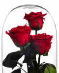 Dome with 3 Cryogenic Red Roses – imaginea 2