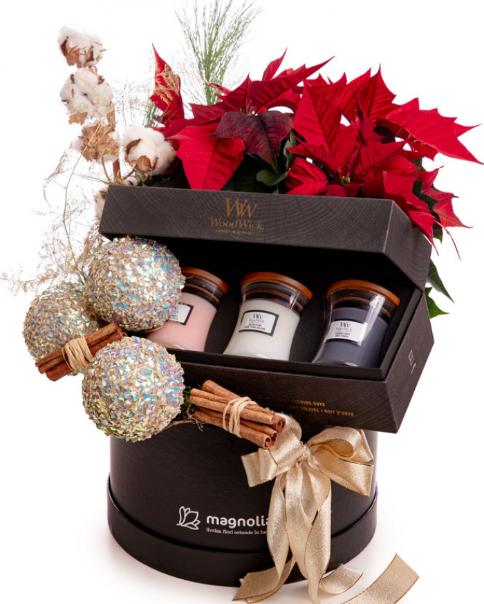 Holiday Gift with WoodWick Candle Set and Poinsettia