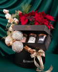 Holiday Gift with WoodWick Candle Set and Poinsettia