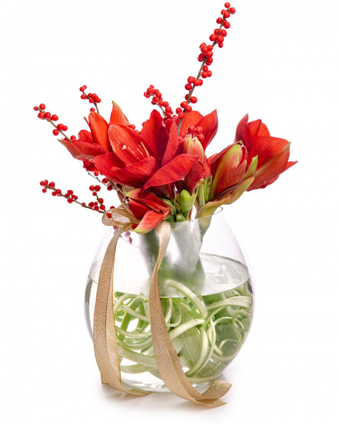 Buchet Amaryllis în vază de sticlă