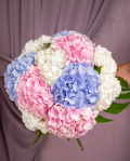 Buchet hortensii colorate – imaginea 3